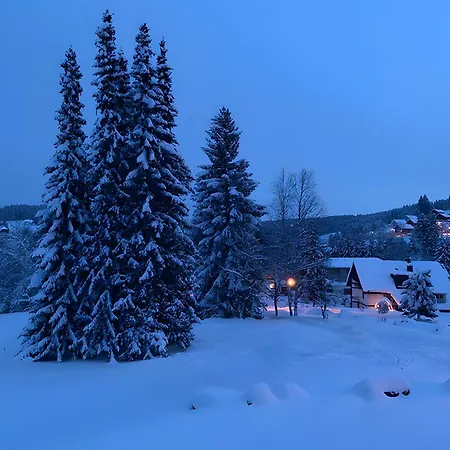 Holiday home Haus Gutach Schoenwald im Schwarzwald
