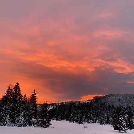 Haus Gutach Holiday home *