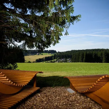 Holiday home Haus Gutach *