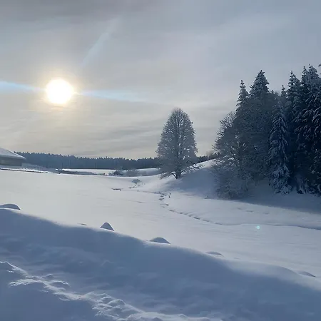 Holiday home Haus Gutach