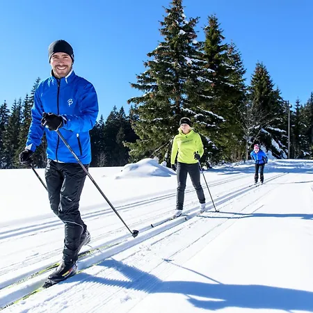 Haus Gutach Holiday home *