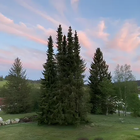 Haus Gutach Holiday home *