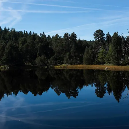 Holiday home Haus Gutach Schoenwald im Schwarzwald