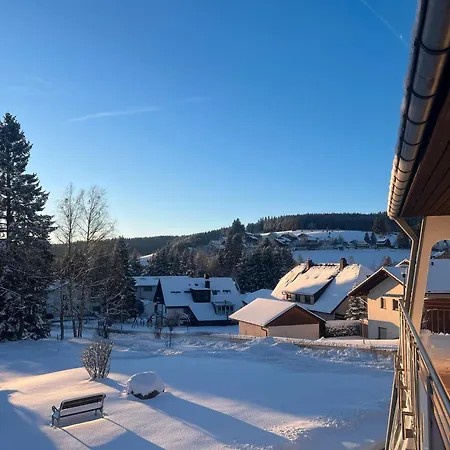 Haus Gutach Holiday home *