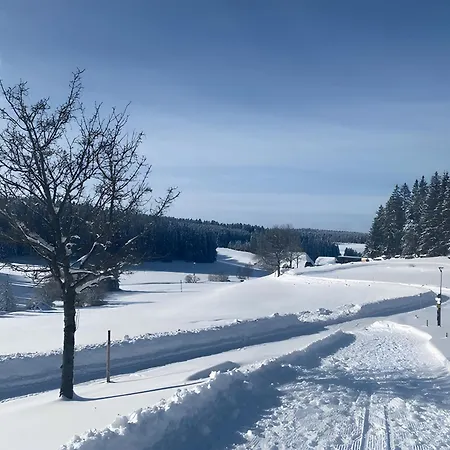 Haus Gutach Holiday home *