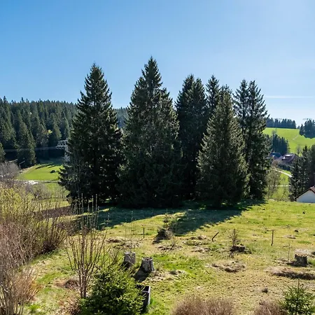 Holiday home Haus Gutach Schoenwald im Schwarzwald